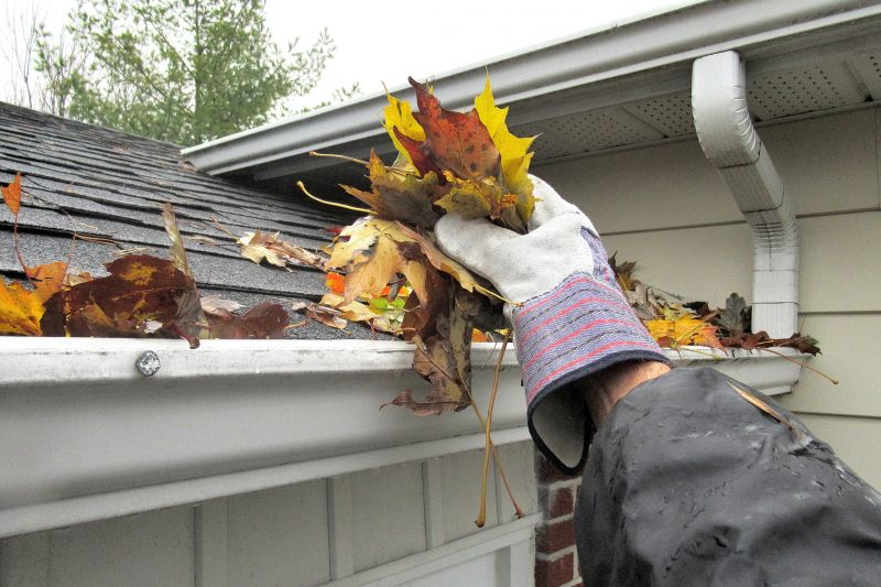 Choosing the Right Time for Gutter Cover Upgrades